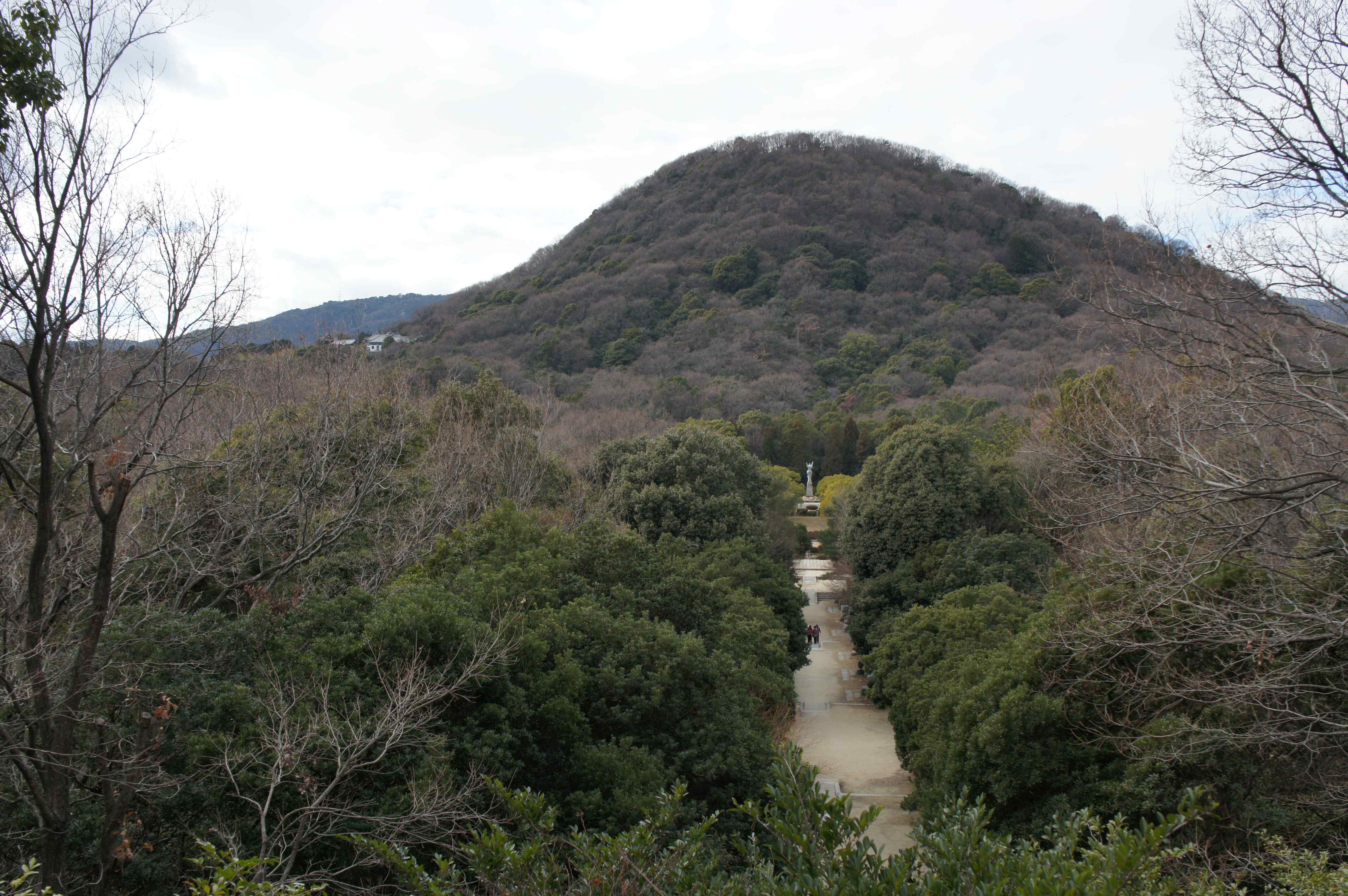 🌳 효고 현립 가부토야마 삼림공원 (효고켄리쓰 가부토야마 신린코엔) 이미지 10